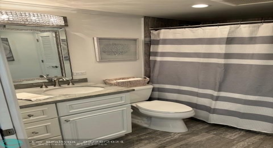 Guest bathroom