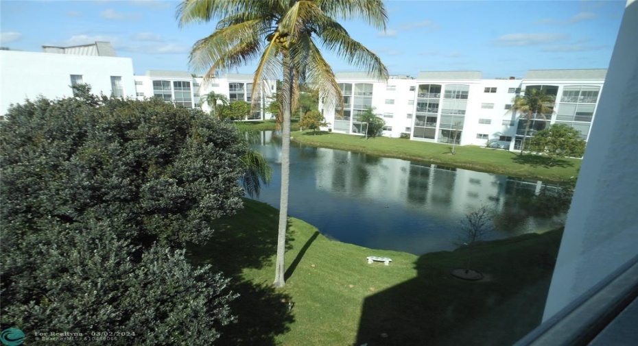 View from roof top