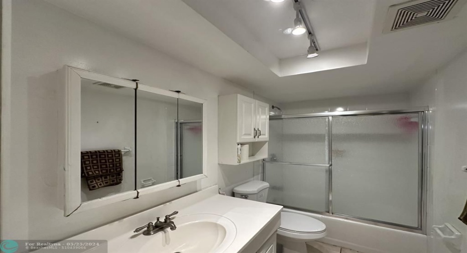 Hall bathroom