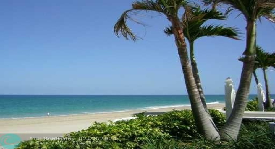 Beach area