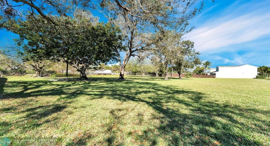 Park
