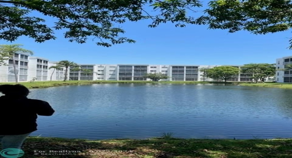 Lake area picture