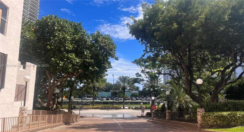 Beach Across The Steet