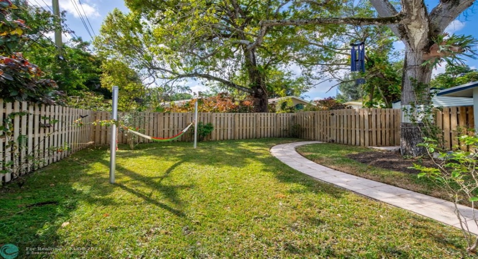 Backyard