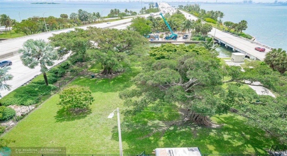 View of the park next to the building