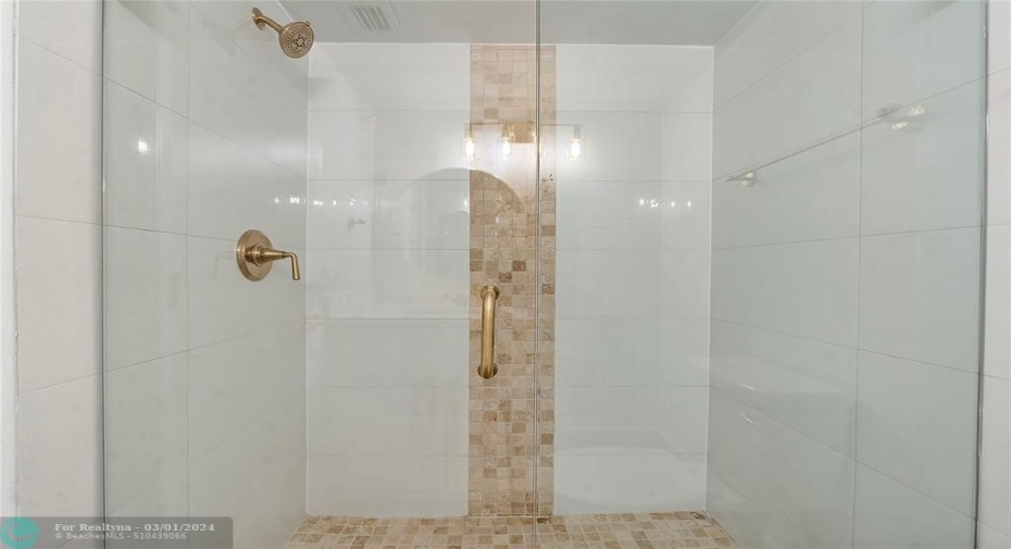 Primary Shower