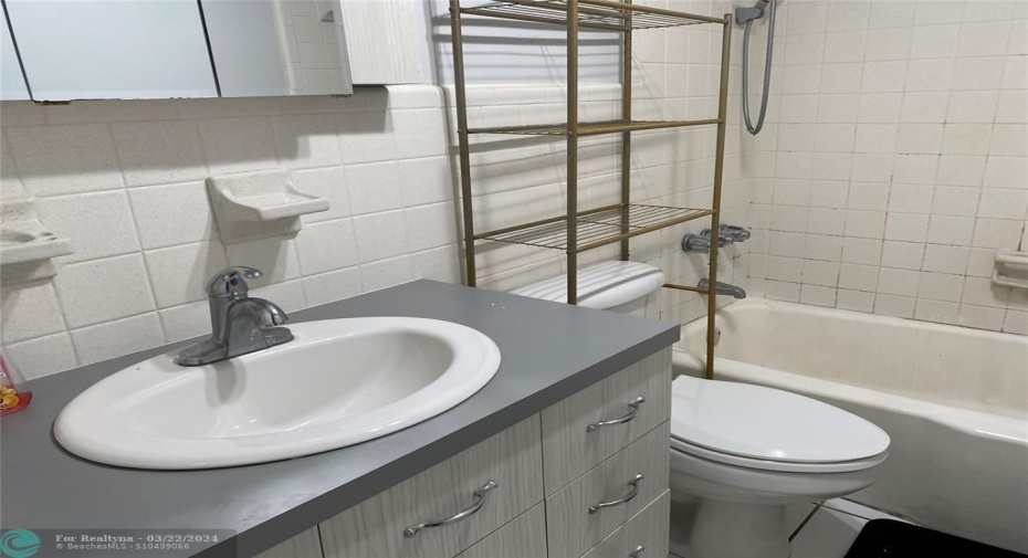 bathroom --new sink and commode