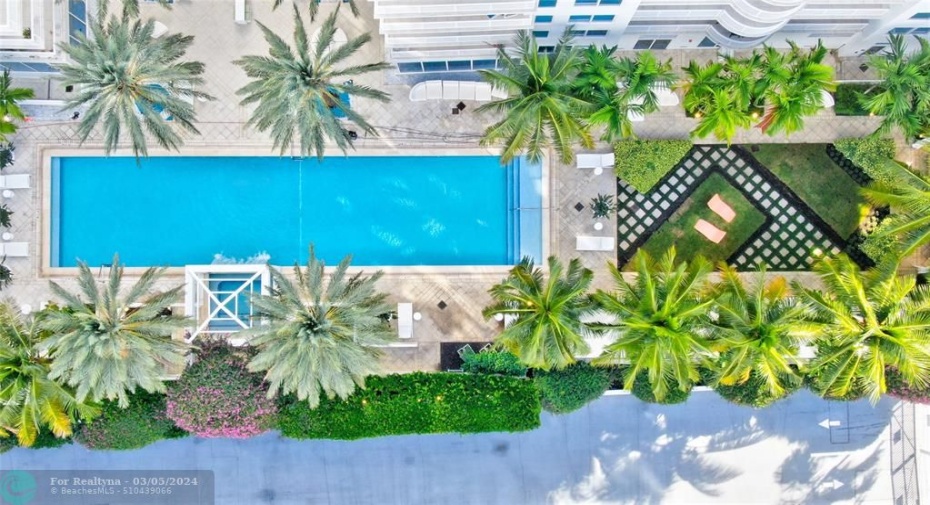 Overview, pool and cabanas. 208S is located to the right, behind the palms