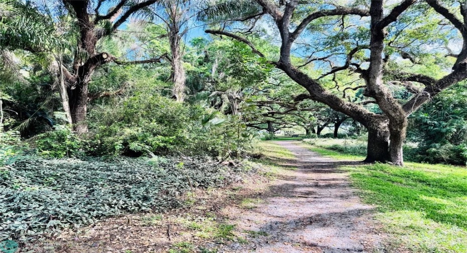 Walking Trail