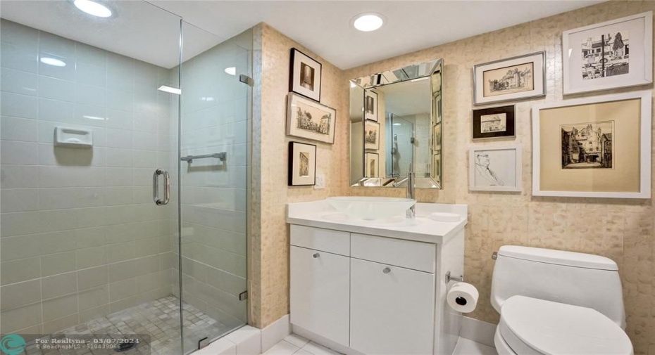 Guest bathroom