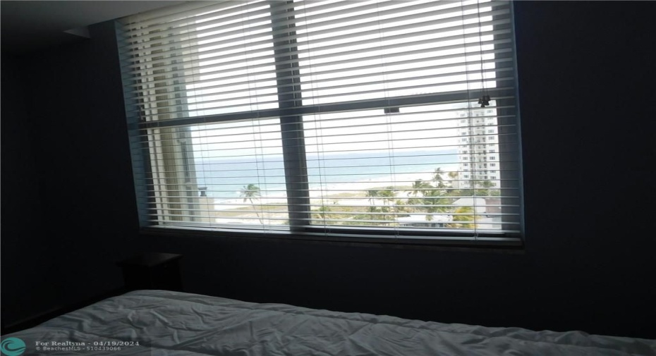 VIEW FROM BEDROOM