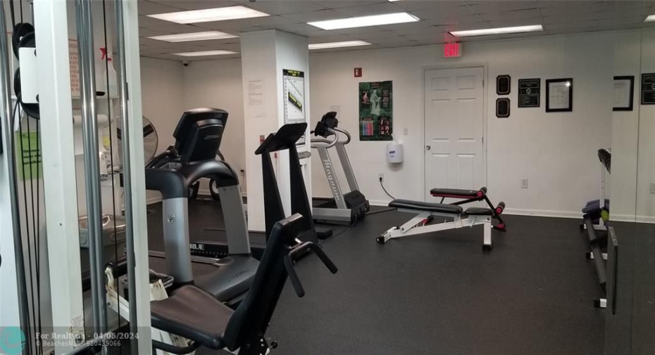 GYM