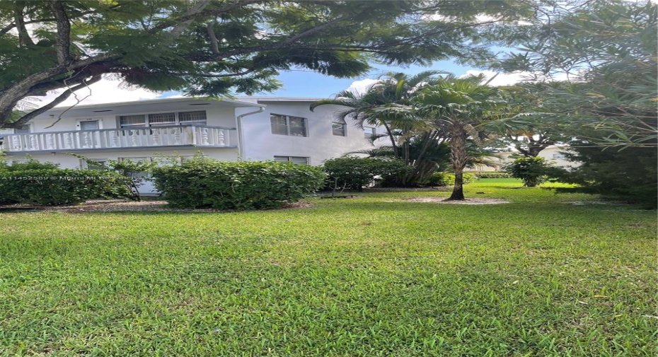 Yard
