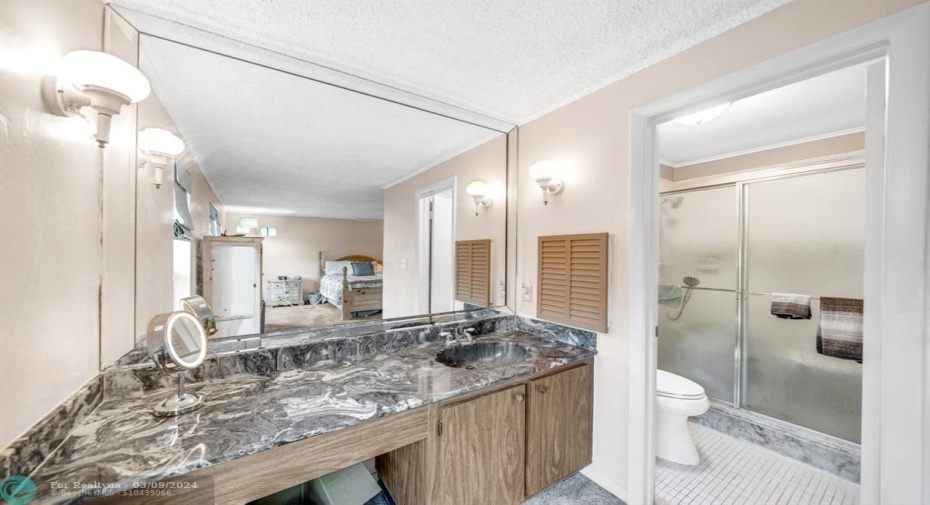 PRIMARY BEDROOM BATHROOM/SHOWER, TALLER, LOW FLUSH TOILET