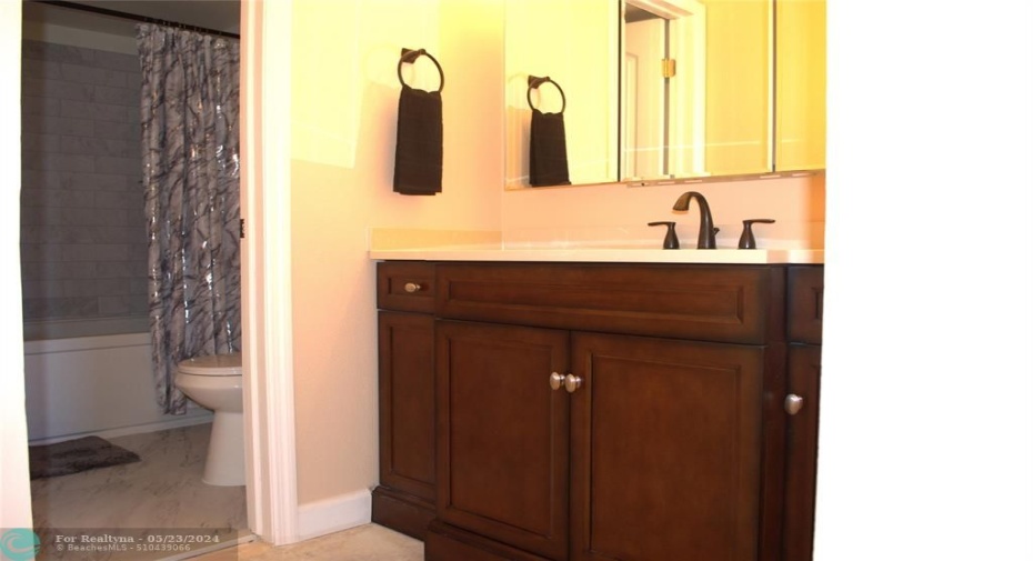 Separate vanity off of master bathroom