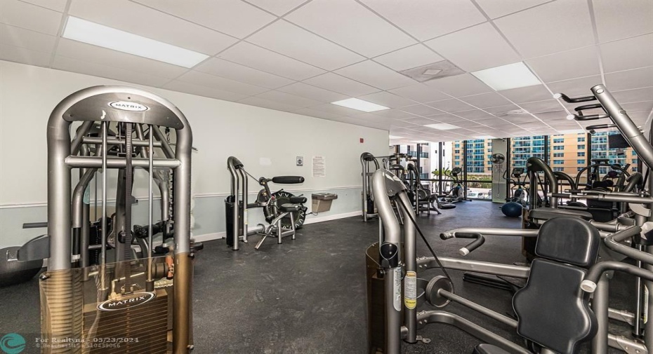 Gym