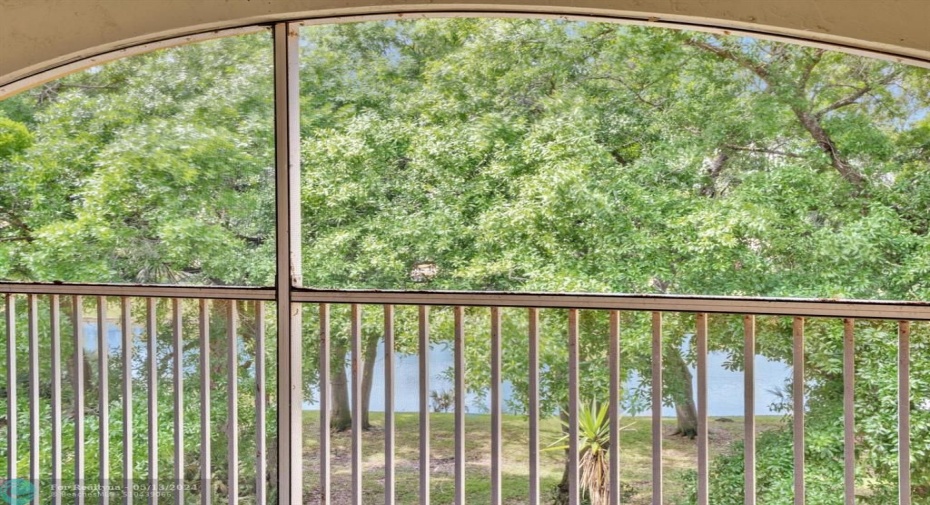 Lake View from Screened Balcony