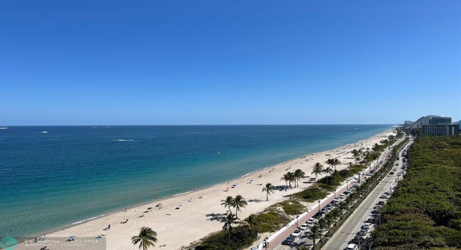 South Ocean View