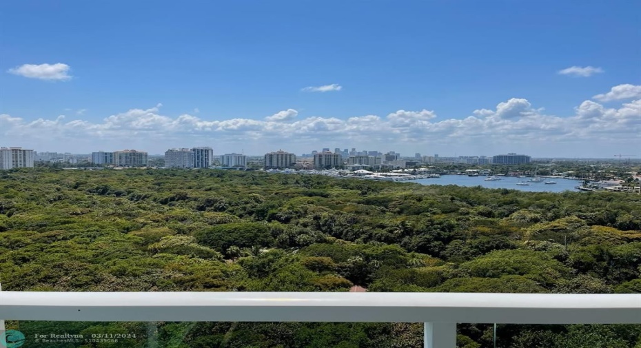 Balcony City View