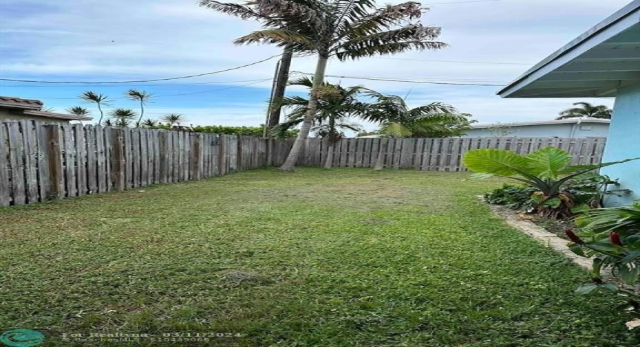 back yard