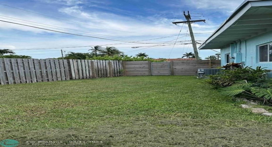 back yard