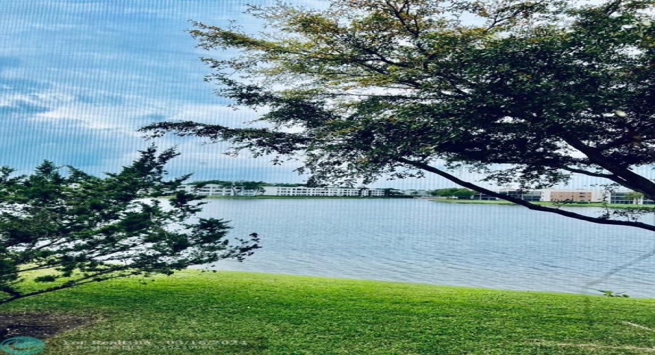 Amazing lake view”s