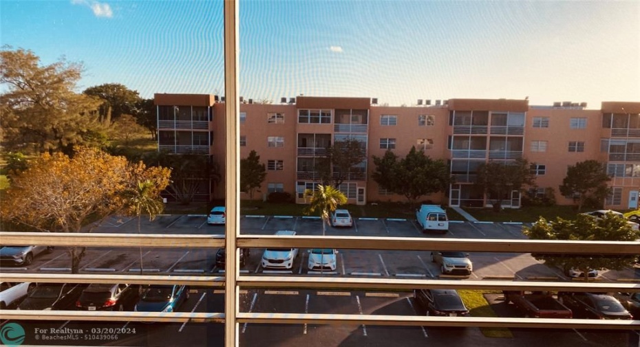 South View