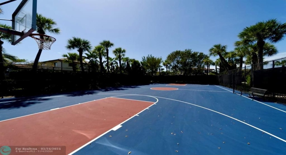 Basketball court