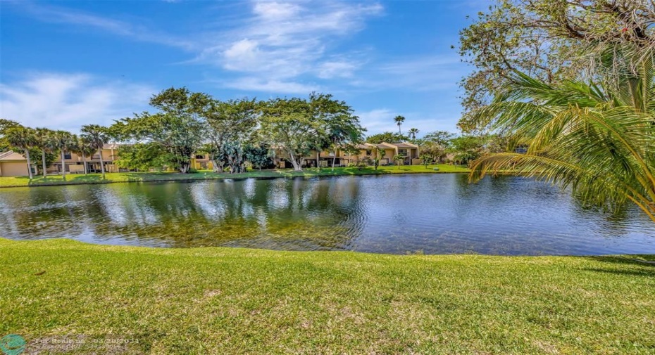 W-W-I-I-D-D E-EWATER VIEW