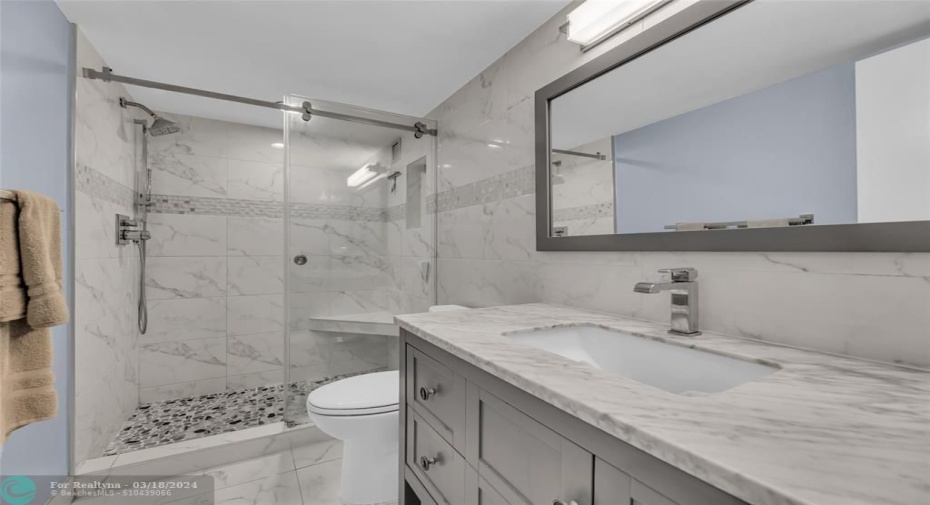 Guest bathroom has beautiful modern upgrades