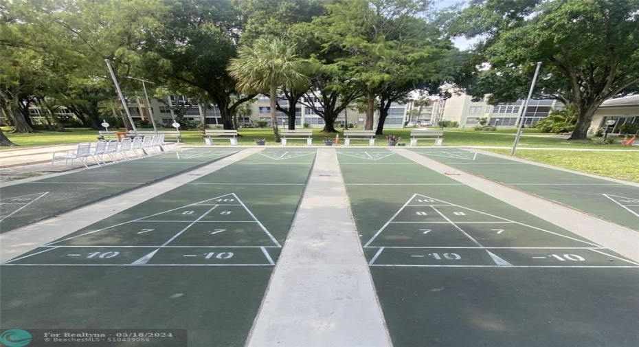 Shuffleboard