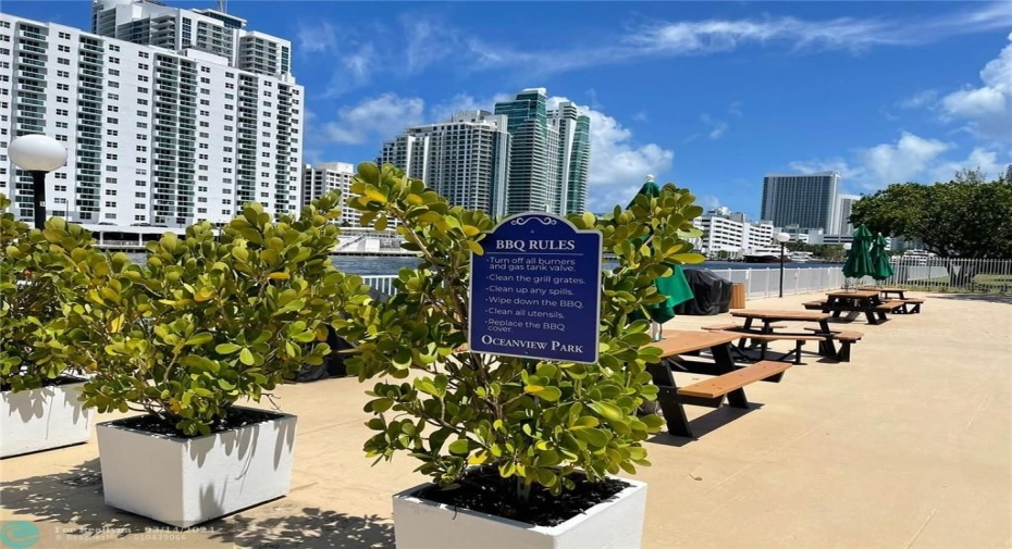 BBQ Area
