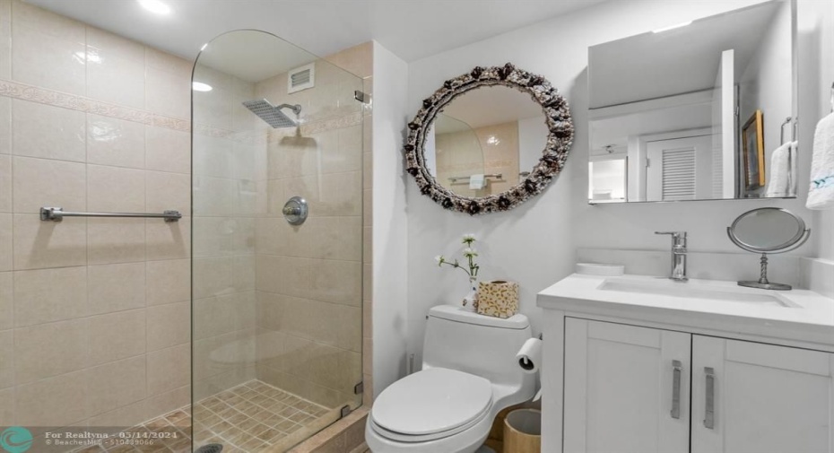 Guest bathroom.