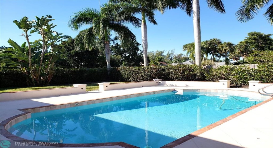 Pool with lush landscaping and sunshine all day.