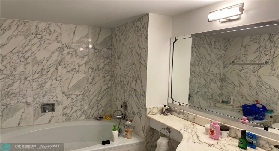 master bath w separate tub and shower