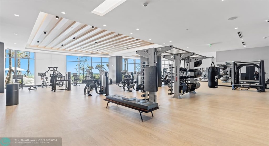 GYM