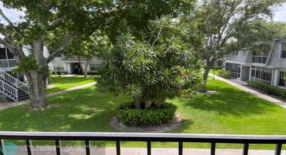 View from balcony