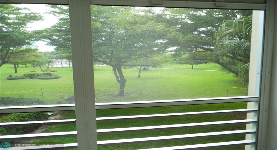 relaxing view