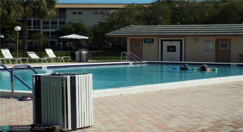 Pool and Patio