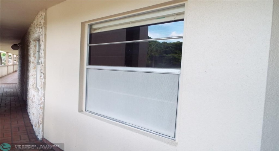 Impact Windows,