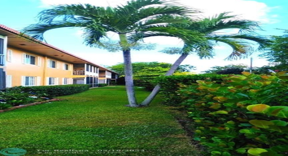 Green space behind the screened balcony