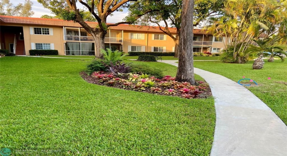 Immaculately cared for lawn