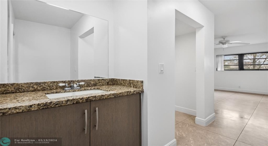 Master Bath Vanity Area