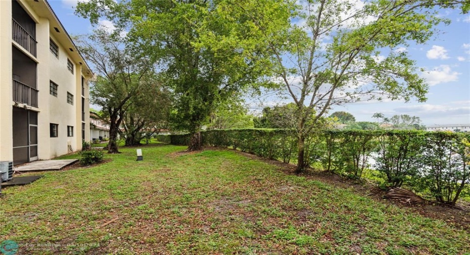 Backyard