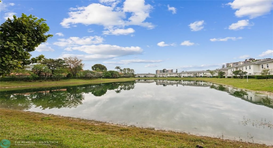 View from end of lake