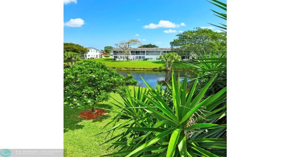 Lush Garden Surrounds the Back Lake.