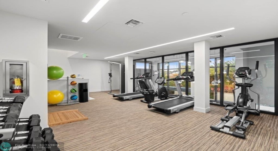 Gym