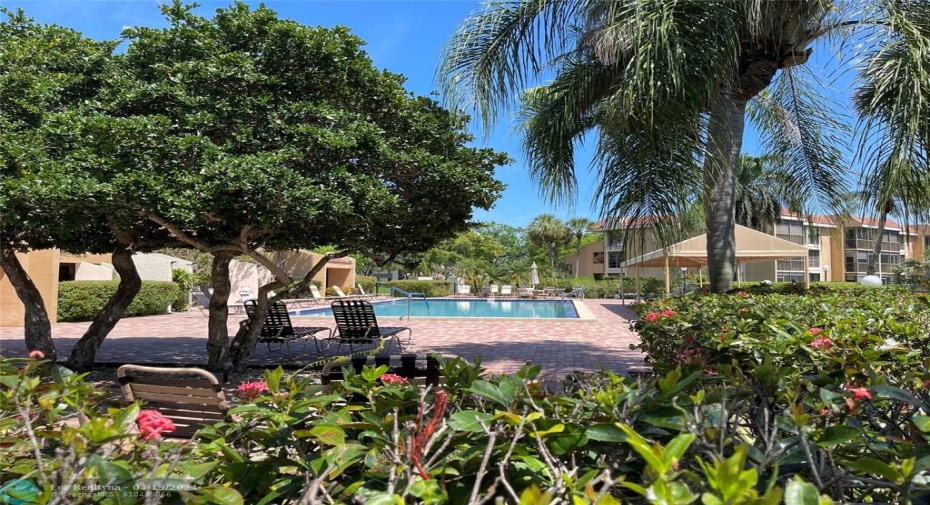 Beautiful landscaped pool area with shade