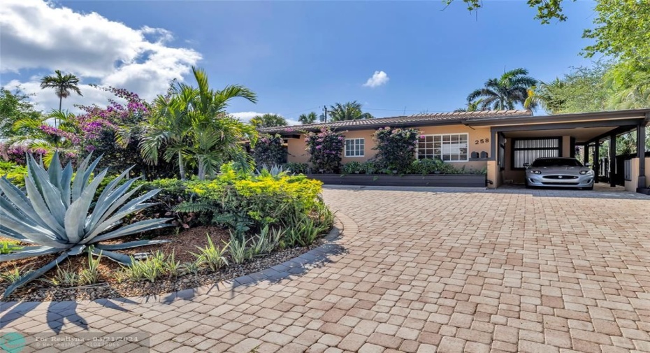 West Driveway View