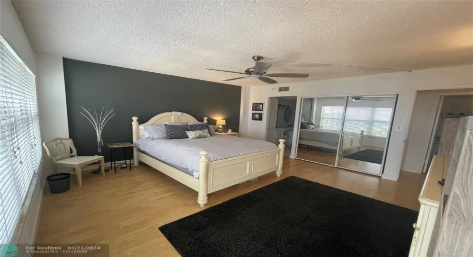 Primary Spacious Bedroom with Large walk-in closet